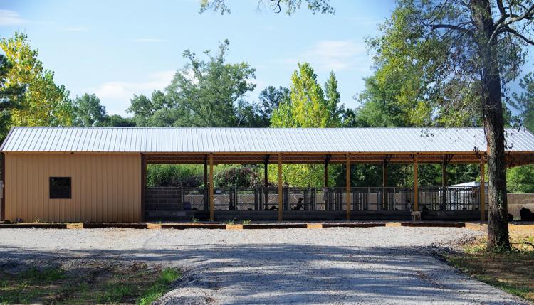 An animal shelter and ACO are required by Alabama law. Lawrence County Commissioner Bobby Burch designed an innovative solution.