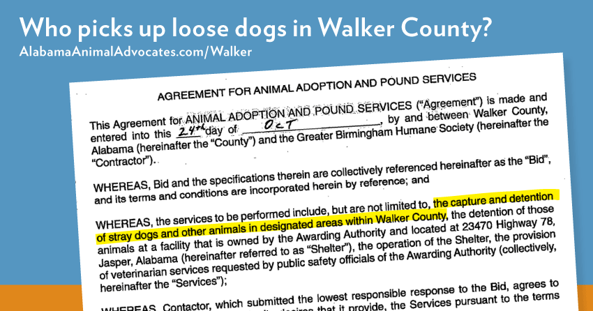 The Agreement between Walker County, Alabama and Greater Birmingham Humane Society (GBHS) states that 'the services to be performed include, but are not limited to, the capture and detention of stray dogs and other animals in designated areas within Walker County.'