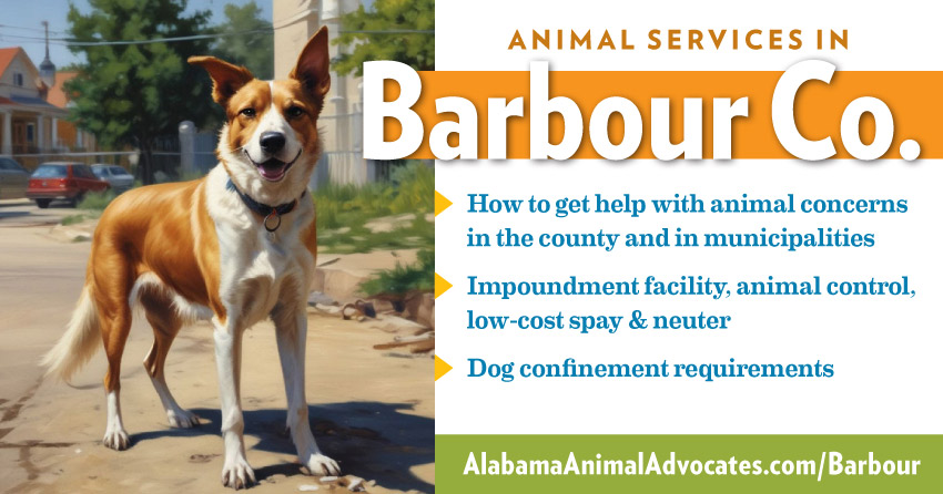 Graphic with image of dog and text: animal services in Barbour County, Alabama. How to get help with animal concerns, impoundment facility, animal control, low-cost spay & neuter, dog confinement requirements.