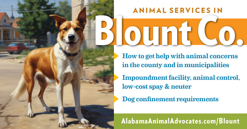Animal services in Blount County, Alabama. How to get help with animal concerns, impoundment facility, animal control, low-cost spay & neuter, dog confinement requirements.