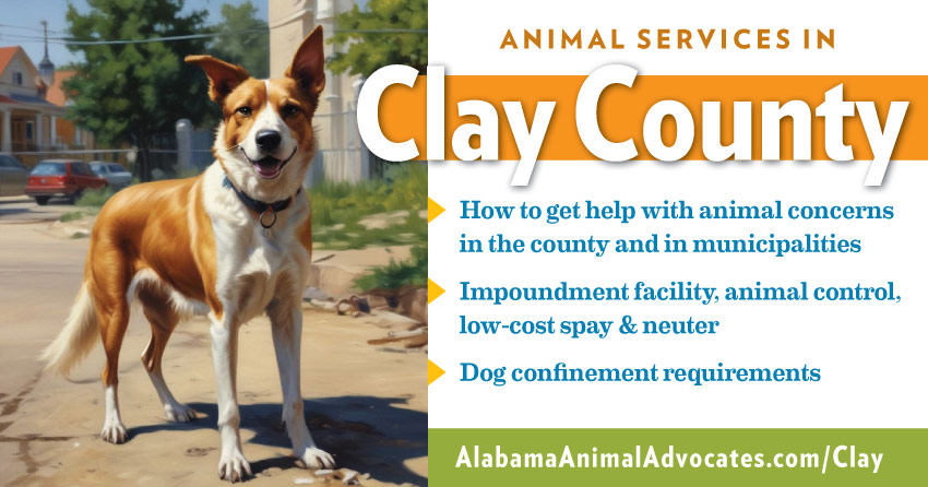 Animal services in Clay County, Alabama: How to get help with animal concerns, impoundment facility, animal control, low-cost spay & neuter, dog confinement requirements.