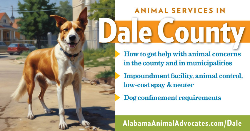 Animal services in Dale County, Alabama: How to get help with animal concerns, impoundment facility, animal control, low-cost spay & neuter, dog confinement requirements.