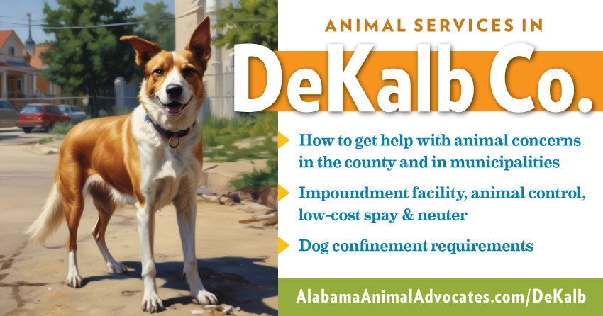 Animal services in DeKalb County, Alabama: How to get help with animal concerns, impoundment facility, animal control, low-cost spay & neuter, dog confinement requirements.