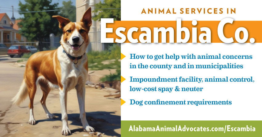 Animal services in Escambia County, Alabama: How to get help with animal concerns, impoundment facility, animal control, low-cost spay & neuter, dog confinement requirements.