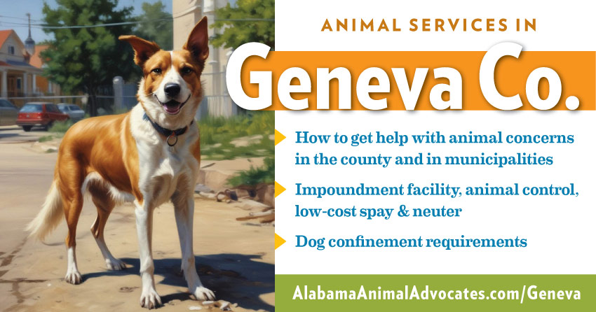 Animal services in Geneva County, Alabama: How to get help with animal concerns, impoundment facility, animal control, low-cost spay & neuter, dog confinement requirements.