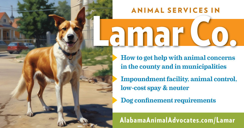 Animal services in Lamar County, Alabama: How to get help with animal concerns, impoundment facility, animal control, low-cost spay & neuter, dog confinement requirements.