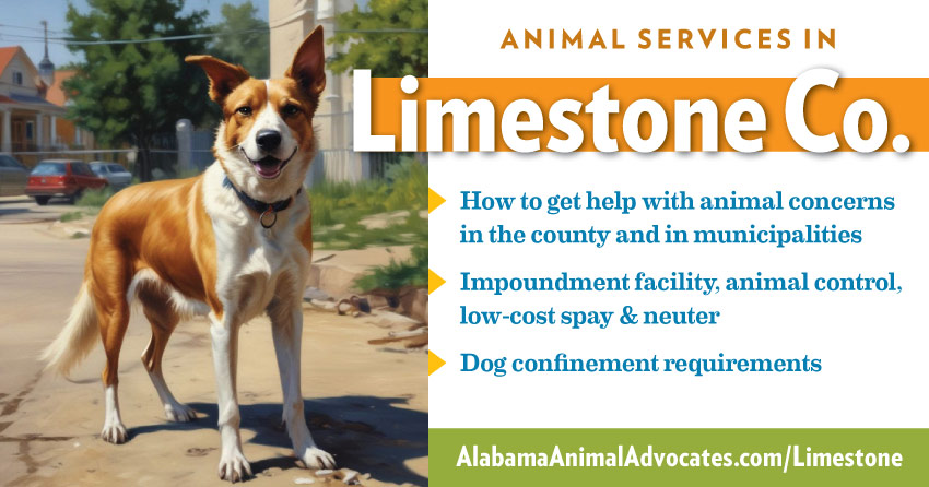 Animal services in Limestone County, Alabama: How to get help with animal concerns, impoundment facility, animal control, low-cost spay & neuter, dog confinement requirements.