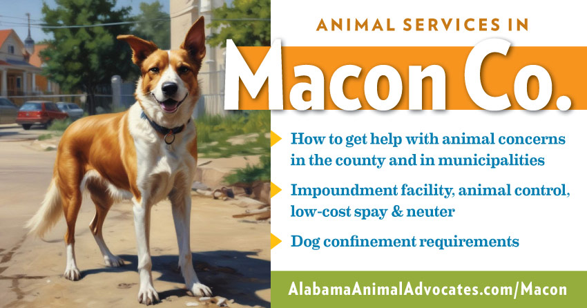 Animal services in Macon County, Alabama: How to get help with animal concerns, impoundment facility, animal control, low-cost spay & neuter, dog confinement requirements.