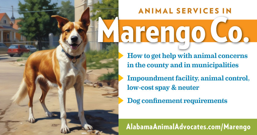 Animal services in Marengo County, Alabama: How to get help with animal concerns, impoundment facility, animal control, low-cost spay & neuter, dog confinement requirements.