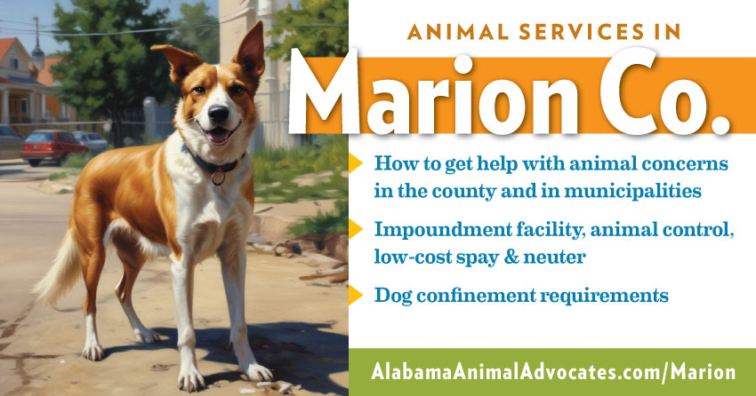 Animal services in Marion County, Alabama: How to get help with animal concerns, impoundment facility, animal control, low-cost spay & neuter, dog confinement requirements.