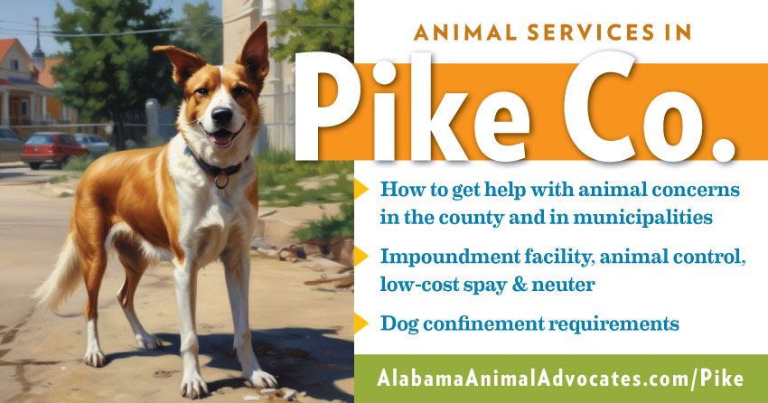 Animal services in XCounty, Alabama: How to get help with animal concerns, impoundment facility, animal control, low-cost spay & neuter, dog confinement requirements.