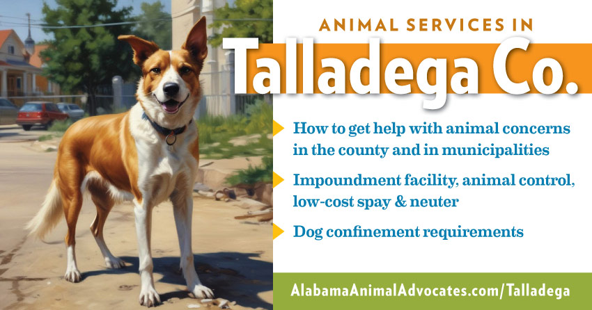 Animal services in Talladega County, Alabama: How to get help with animal concerns, impoundment facility, animal control, low-cost spay & neuter, dog confinement requirements.