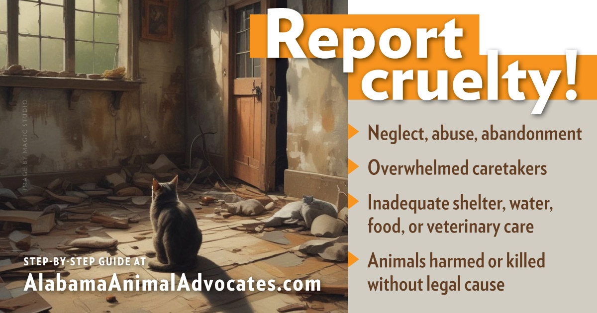 Report Animal Cruelty! Step-by-step guide at https://alabamaanimaladvocates.com/share-cruelty-cat.html