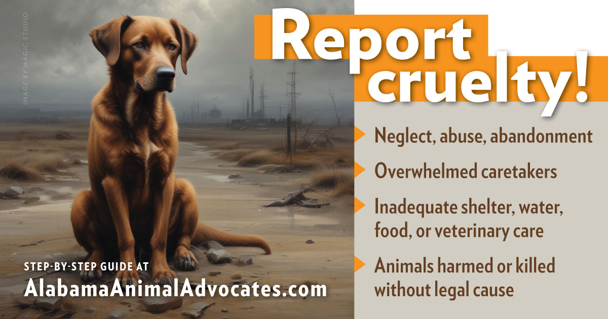 Report Animal Cruelty! Step-by-step guide at https://alabamaanimaladvocates.com/share-cruelty-dog.html