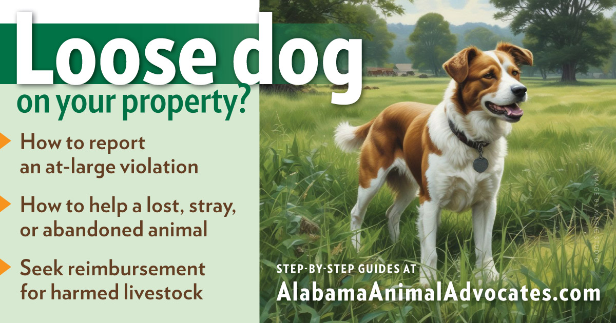 Loose dog on your property? How to report and get help at https://alabamaanimaladvocates.com/share-loose-dog.html